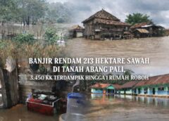 213 Hektar Sawah di Tanah Abang PALI Terendam Banjir, Petani di Ambang Gagal Panen