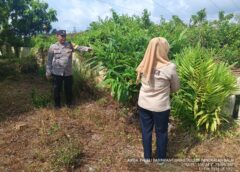 Bhabinkamtibmas Polsek Pangkalan Balai Ajak Warga Manfaatkan Pekarangan untuk Dukung Ketahanan Pangan