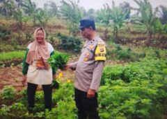 Bhabinkamtibmas Polsek Tanjung Lago Ajak Warga Muara Sugih Optimalkan Pekarangan Dukung Swasembada Pangan