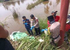 Kapolsek Rambutan Turun Langsung Kelokasi  Terkait Penemuan Mayat Pria di Persawahan Sungai Pinang