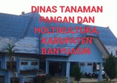 Diduga BBM Alsintan Disunat, IP 200 Desa Saleh Mulya Tersendat, Dinas TPH Banyuasin Jadi Sorotan 