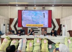 Ladang Ganja Seluas 20 Hektar di Empat Lawang dan 220 Kg Siap Edar Berhasil di Bongkar Polda Sumsel