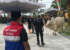 Petamina EP Zona 4 Tebar 186 Hewan Kurban di Sumsel, Wujud Kepedulian dan Semangat Berbagi Iduladha 1447 H