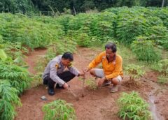 Dukung Program Presiden RI, Bhabinkamtibmas Polsek Rantau Bayur Gencarkan Ketahanan Pangan hingga Tingkat Desa