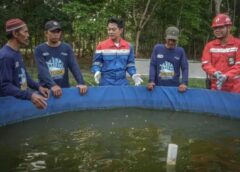 Harmony with Nature, PT Pertamina Patra Niaga Kilang Plaju Perkuat Konservasi Lingkungan dan Pelestarian Ikan Belida