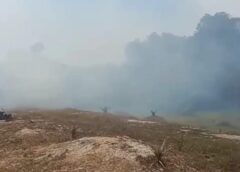 Api Melebar di Lahan Warga Tanjung Kurung, Bantuan Pemadaman Kebakaran Belum Kunjung Tiba