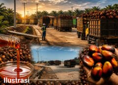 PKS Aburahmi Diduga Tersandung Masalah Legalitas, Minyak CPO Berpotensi Tidak Laku