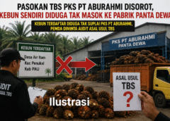 Ada Apa dengan Pasokan TBS PKS PT Aburahmi? Kebun Terdaftar di Air Itam Diduga Tak Suplai ke Pabrik Panta Dewa