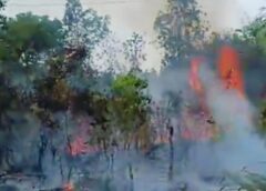 Kebakaran Lahan di Karang Agung PALI, Warga Berjibaku Padamkan Api dengan Peralatan Seadanya