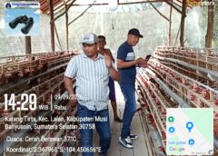 Program Ketahanan Pangan Desa Sri Gading, Kembangkan Budidaya Ayam Petelur