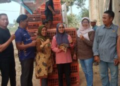 KWT Sumber Jaya Terima Bantuan 200 Ekor Ayam KUB dari Disbunak Banyuasin