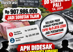 DD SUNGAI IBUL TA: 2025 DIDUGA SARAT PENYIMPANGAN, APH DIDESAK AUDIT MENYELURUH